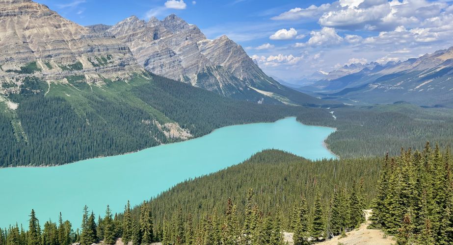 28 38 Canada 54 28 38 Canada 54